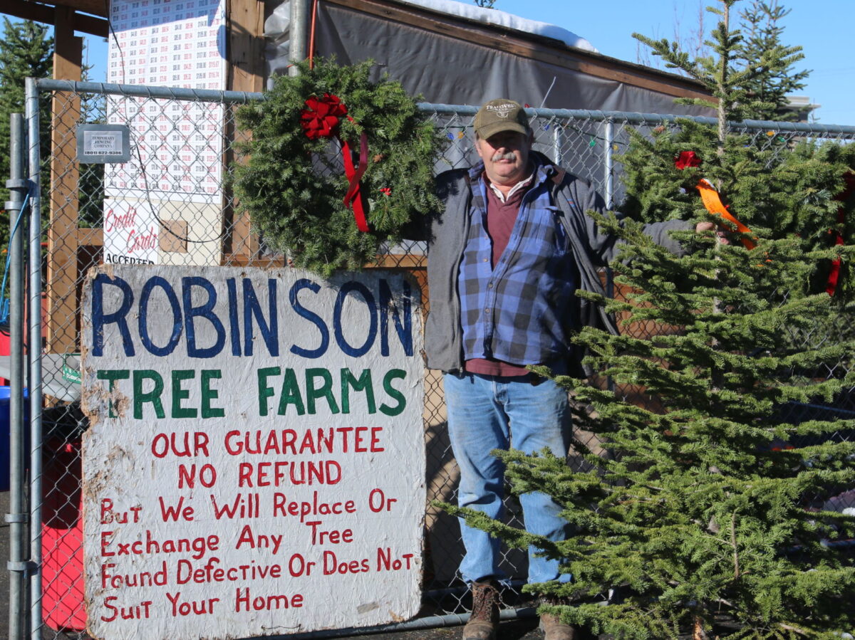 Ogden Ace Where to get a fresh cut Christmas tree in Northern Utah